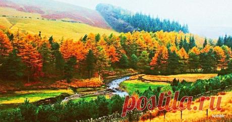 15 фотографий, наполненных ожиданием осени