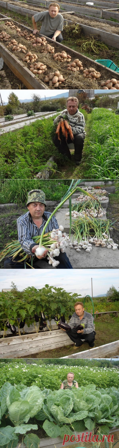 Удивительный огород Виктора Лядова