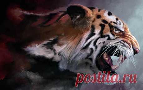 Жестокость — это черта характера добрых людей, она возникает, когда об твою доброту начинают вытирать ноги.