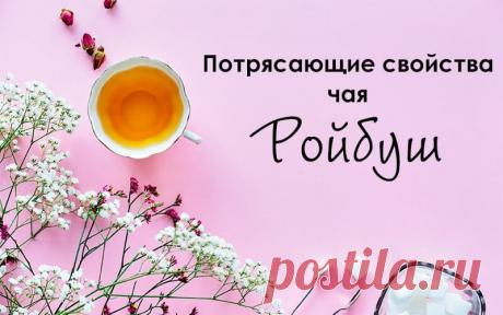 Потрясающие свойства чая Pойбуш (Rooibos) | Рецепты вкусного чая