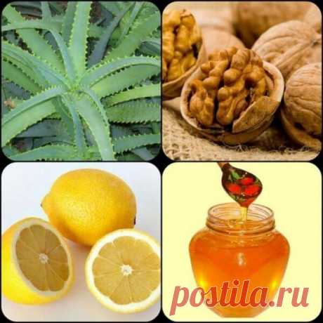 Смесь академика Филатова для улучшения зрения | В темпі життя Все те, кому удалось наблюдаться у академика Филатова, знают эту волшебную смесь для улучшения зрения. Данный рецепт очень простой, но его эффективность доказана тысячами людей.