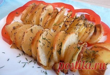 Лучше ужина не придумаешь: картофель по-французски
Аромат просто волшебный!
Ингредиенты:
Картофель, средний — 6 шт. (средних по размеру)Лук репчатый — 3 шт.Масло сливочное — 2–3 ст. л.Прованские травыСоль
Приготовление:
Картофель режем н…