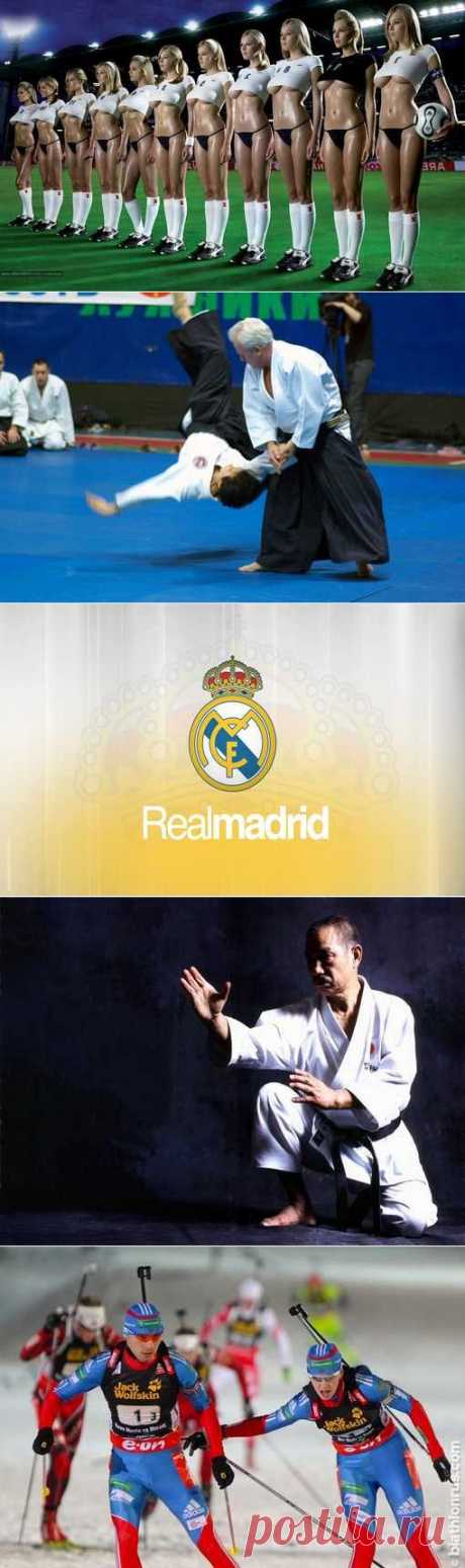 Футзал, Подводное регби, Танцевальный спорт, Виндсерфинг. (1/1) - Спортивный форум. - Спортивный сайт