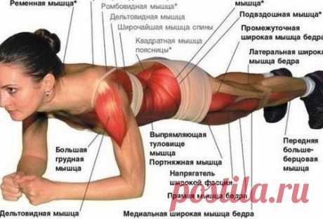 ОДНО ПРОСТОЕ УПРАЖНЕНИЕ, КОТОРОЕ УКРЕПИТ ВСЕ МЫШЦЫ ВАШЕГО ТЕЛА