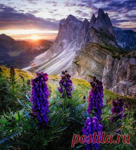 Больцано, #Италия@discoverygroup