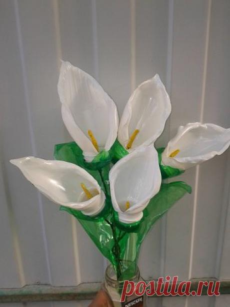 Одноклассники