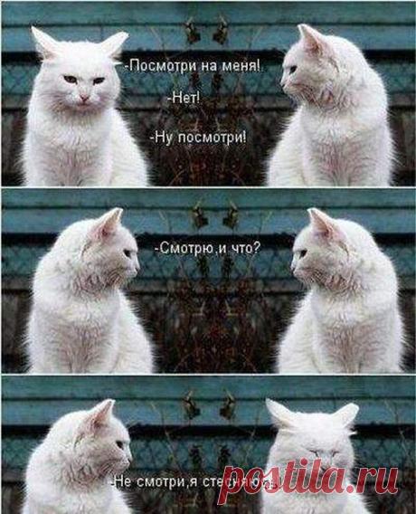 27 веских причин, почему женская логика куда более интересная, чем мужская. С ними не соскучишься!