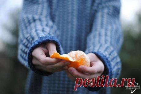 Счастье — это когда душа перестает просить то, чего у нее нет, и начинает радоваться тому, что есть.