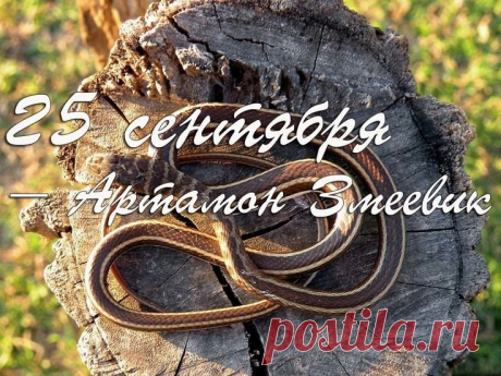 В этот день православная церковь чтит память священномученика Автонома, а в народной традиции этот день связан с проводами змей в спячку и подготовкой к зиме. Открытки на День Памяти Артамона Змеевика!