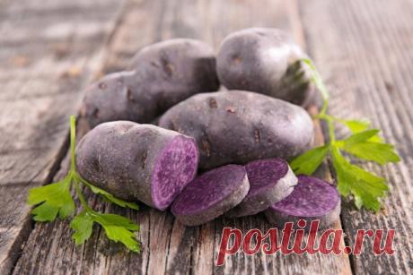 10 необычных овощей, которые стоит вырастить в этом году