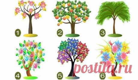 Выбранное вами дерево укажет на черты вашей доминирующей личности
Ниже, исключительно в развлекательных целях, мы показываем 6 деревьев. Выберите один из...
Читай дальше на сайте. Жми подробнее ➡