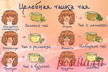 А какой чай любите вы? | Поваренный сайт