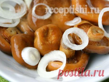 Рыжики, соленые холодным способом.