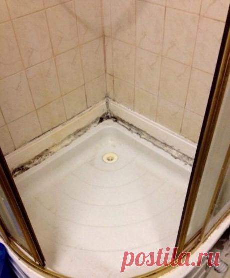 О чем жалеют владельцы душевых | Роскошь и уют