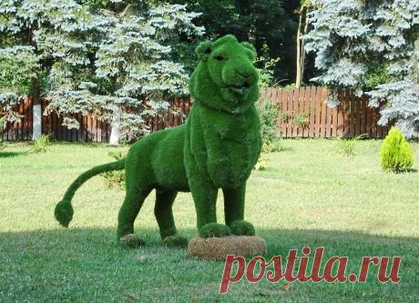 Лев
Гомельский район