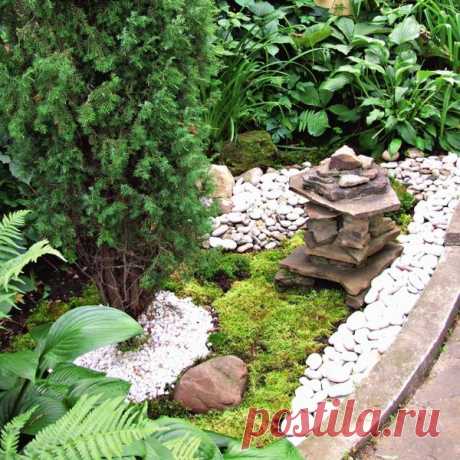 Как создать на даче маленький садик мхов — 6 соток