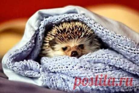 Чем больше в человеке хорошего, тем меньше плохого он замечает в других!