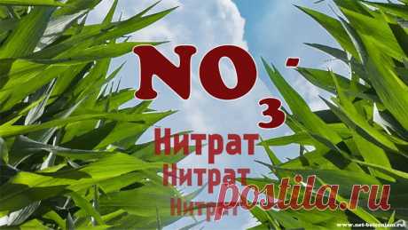Почему нитраты и нитриты вызывают рак?
Самыми "знаменитыми" нитратами и нитритами являются нитрит калия (Е249), нитрит натрия (Е250), нитрат натрия (Е251) и нитрат калия (Е252).
У них много применений, но мы сосредоточимся на тех которые связанные с питанием человека.