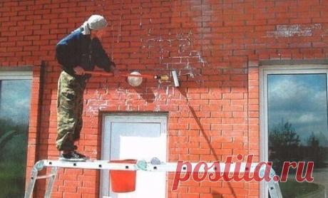 Моя дача | Идеи, советы, огород, сад.