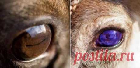 12 невероятных фотографий, которые выглядят как фальшивка, но это не