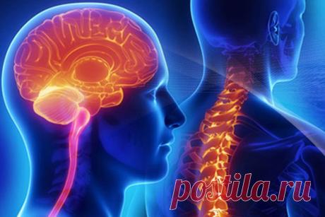 Как предотвратить нейровоспаление из-за депрессии Нейровоспалением называют состояние, которое может возникнуть из-за депрессии, а также постоянных навязчивых мыслей. Постарайтесь научиться избегать их!