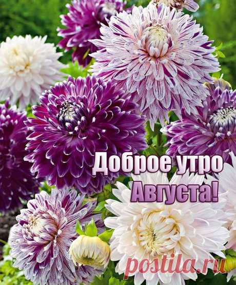 Коллекция пожеланий доброго утра: картинки и фото на любой вкус