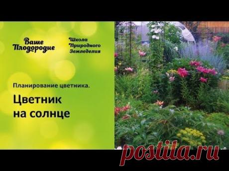 Планирование цветника. Цветник на солнце - YouTube