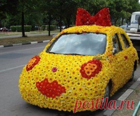 SAD|Дача, ландшафт, сад, огород