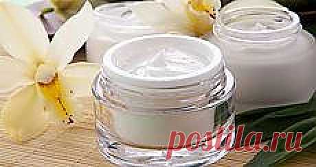 Письмо «❀ Гороскоп для женщин. Лучшая карамель. Модные причёски. Фильмы о женщинах. Антивозрастной крем. Флористика // Кусочек Постилы к чаю» — Постила — Яндекс.Почта