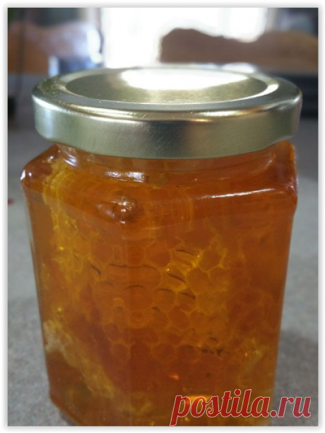 Золотое утро: эксперимент с мёдом на голодный желудок!