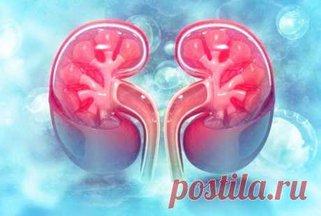 Признаки того, что почки работают плохо / Будьте здоровы