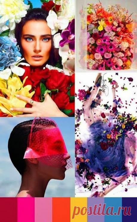 Модная цветовая гамма 2015 / Все для женщины