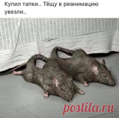 #юмор