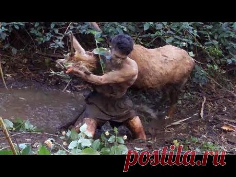 Wild Animals Caught Barehanded - YouTube