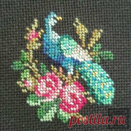 (6) Gallery.ru / Фото #7 - Трио павлинов 1 - larisa-bnw