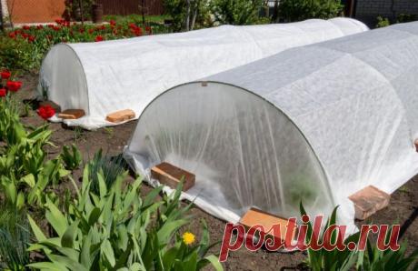 Плёнка или укрывной материал — что на самом деле лучше? — Ботаничка