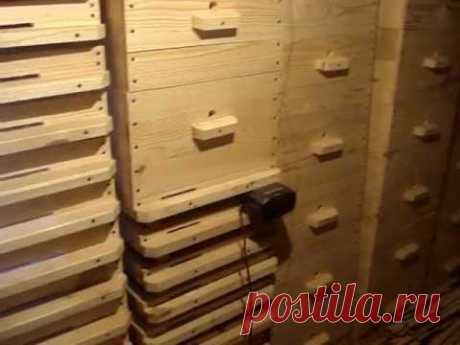 Моя мини-линия по производству ульев