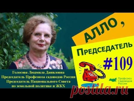 Алло, председатель! Выпуск №109. Облегчит ли жизнь садоводов продление "дачной амнистии"
