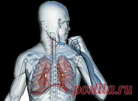 17 эффективных рецептов от кашля