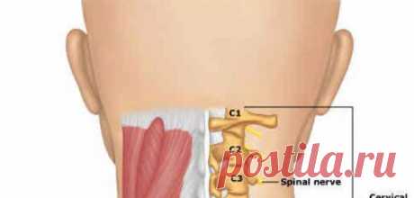 Светлана Чичиланова - Челябинск, Челябинская обл., Россия, 61 год на Мой Мир@Mail.ru