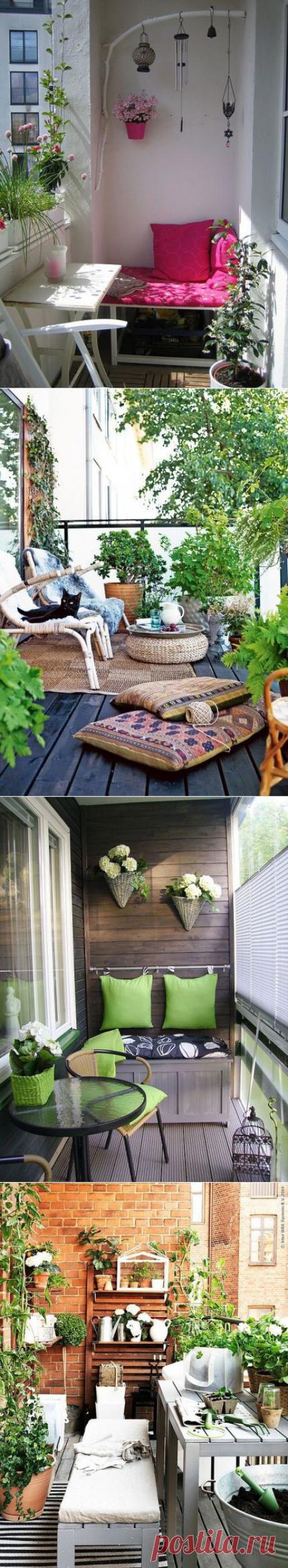 Зелёные идеи для балкона и дачи | ПолонСил.ру - социальная сеть здоровья
Вот и пришло наконец тепло и солнце, стало побольше ярких красок вокруг, зелени и цветов. Перед вами подборка идей для дачного и балконного зелёного декора.