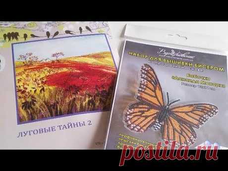 Обзор «ЛУГОВЫЕ ТАЙНЫ 2» OlanTA + Бабочка «Данаида МОНАРХ» ВДОХНОВЕНИЕ