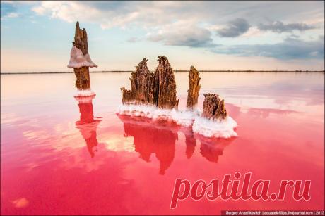 Соляные озера в Крыму - ЛЮБИМЫЕ ФОТО