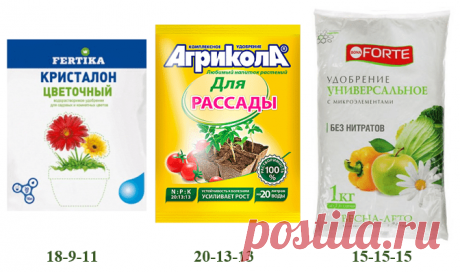 Гайд по удобрению лилий Гайд по удобрению лилий Все про сад и огород. Посмотрите на дача фото сделайте свой дачный дом. Узнайте что на сад и огород своими руками посеять. Оформляйте сад на даче и смотрите идеи для дачи и сада.