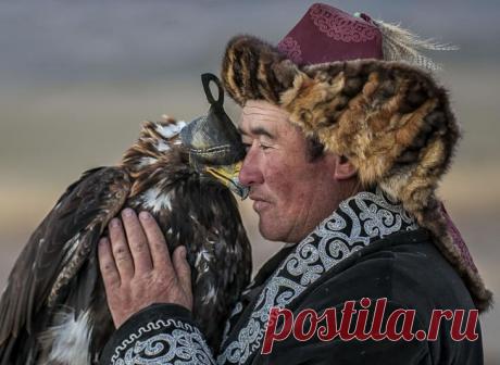 Удивительные фотографии орлиной охоты в Монголии