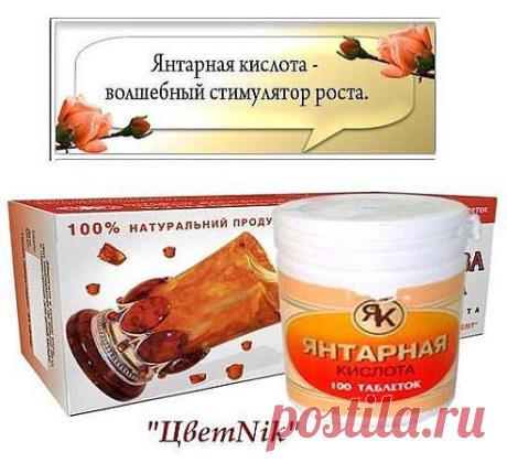 (80) Одноклассники