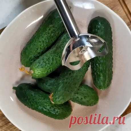 Могу есть их каждый день по несколько раз и не поправляться. А охлаждают даже лучше чем окрошка: два рецепта холодных супов в жару - Будет вкусно - Медиаплатформа МирТесен