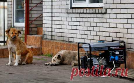 ЕК объявила о создании в Польше энергетического фонда для помощи Украине. Еврокомиссия откроет в Польше фонд для пожертвований для энергетической поддержки Украины, сообщила фон дер Ляйен. Также в ркспублику скоро будут переданы 200 трансформаторов и 40 генераторов