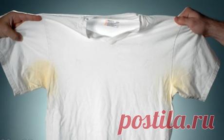 КАК ЛЕГКО УБРАТЬ ЖЕЛТЫЕ ПЯТНА ОТ ПОТА НА ОДЕЖДЕ