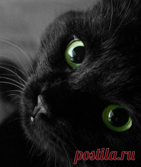 Женщина и рыбалка